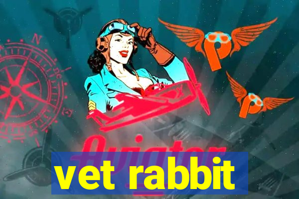 vet rabbit